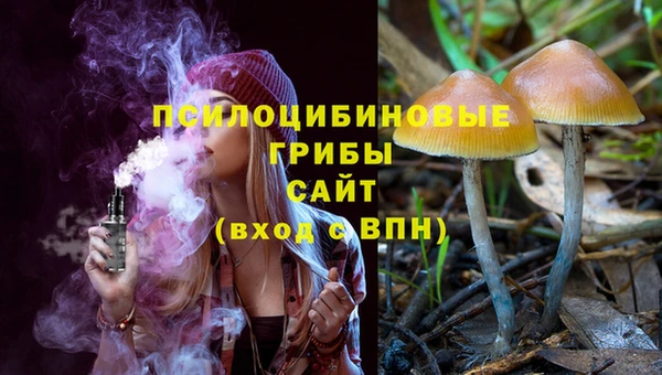 Альфа ПВП Балабаново